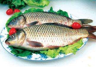 ?五月份吃什么魚？5月份吃什么魚？