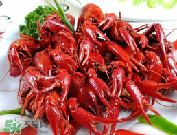 野生小龍蝦能吃嗎？野生小龍蝦吃了會中毒嗎？