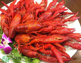 野生小龍蝦能吃嗎？野生小龍蝦吃了會中毒嗎？