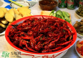 野生小龍蝦什么時(shí)候有？野生小龍蝦幾月份有？