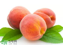 桃子為什么不能和西瓜一起吃？桃子和西瓜為什么不能一起吃？