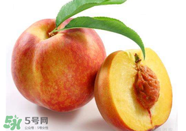 桃子可以放冰箱嗎？桃子能放冰箱保鮮嗎？