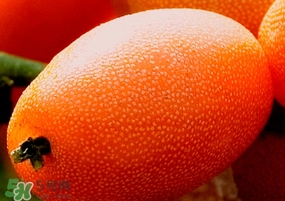 羊奶果要剝皮嗎？羊奶果剝皮還是帶皮吃好？