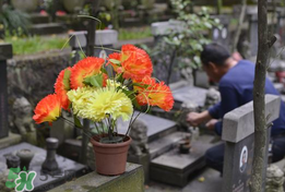 母親節(jié)能掃墓嗎？母親節(jié)給母親上墳合適嗎？