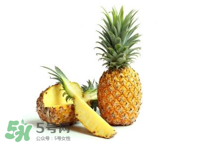 孕婦能吃菠蘿嗎？菠蘿孕婦能不能吃？