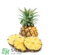 孕婦能吃菠蘿嗎？菠蘿孕婦能不能吃？