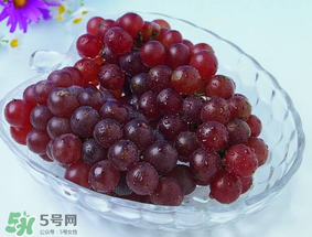 五月份有葡萄嗎？五月份的葡萄可以吃嗎？