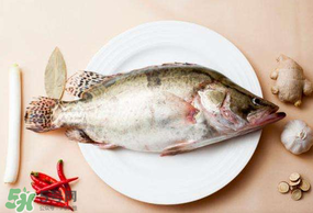 ?五月份吃什么魚？5月份吃什么魚？
