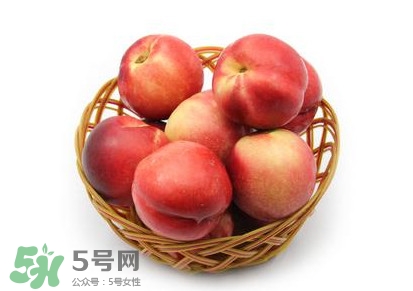 三華李可以泡酒嗎？三華李可以多吃嗎？