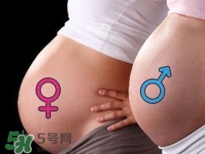 B超單數(shù)據(jù)怎么看男女？B超單看男女準(zhǔn)嗎？
