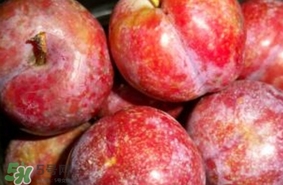 三華李能放冰箱嗎？三華李可以放冰箱嗎