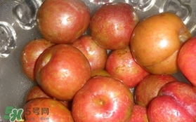 三華李可以泡酒嗎？三華李可以多吃嗎？