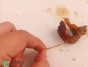 周黑鴨小龍蝦好吃嗎？周黑鴨小龍蝦試吃評測