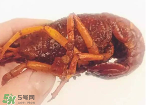 周黑鴨小龍蝦好吃嗎？周黑鴨小龍蝦試吃評測