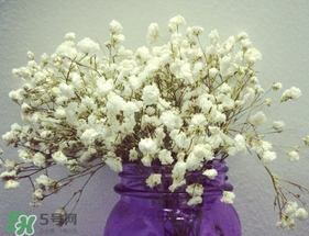 母親節(jié)可以送滿天星嗎？母親節(jié)能送滿天星嗎？