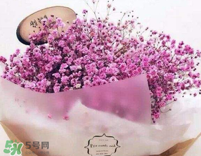 母親節(jié)可以送滿天星嗎？母親節(jié)能送滿天星嗎？