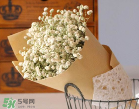 母親節(jié)可以送滿天星嗎？母親節(jié)能送滿天星嗎？