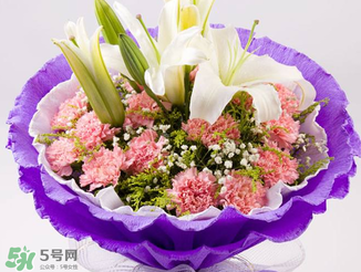 康乃馨多少錢一束2017？康乃馨多少錢一朵2017？