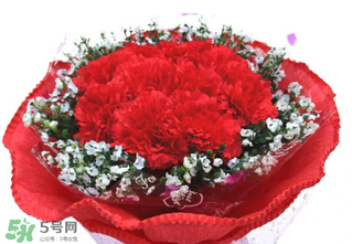 康乃馨多少錢一束2017？康乃馨多少錢一朵2017？