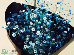 滿天星多少錢一束2017？滿天星多少錢一支2017？