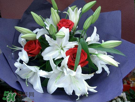 百合花多少錢一支2017？百合花多少錢一束2017？