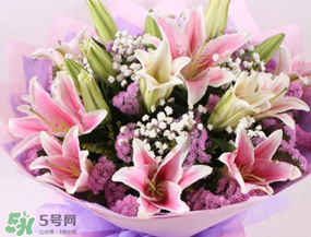 百合花多少錢一支2017？百合花多少錢一束2017？