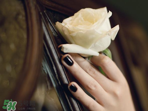 母親節(jié)可以送白玫瑰嗎？白玫瑰適合送什么人？