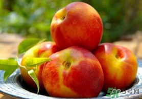 油桃小孩可以吃嗎？寶寶能不能吃油桃？