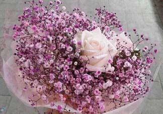 母親節(jié)可以送滿天星嗎？母親節(jié)能送滿天星嗎？