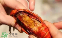 周黑鴨小龍蝦怎么吃？周黑鴨小龍蝦怎么吃圖解？