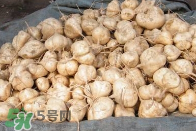 土瓜怎么做好吃？土瓜的做法大全