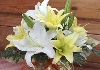 百合花多少錢一支2017？百合花多少錢一束2017？