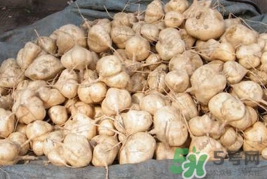 土瓜是涼性還是熱性？土瓜是寒性還是熱性？