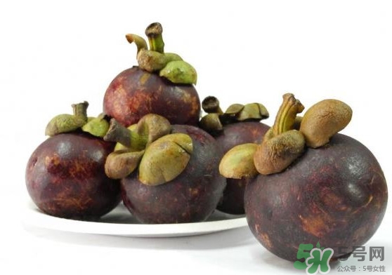 山竹是植物還是水果？山竹是水果皇后嗎？