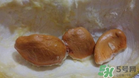 榴蓮核能種嗎？榴蓮核怎么種盆栽？