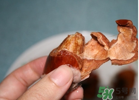 榴蓮核有毒嗎？榴蓮核有什么作用