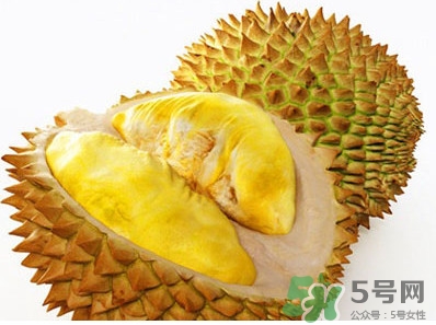 榴蓮核能種嗎？榴蓮核怎么種盆栽？