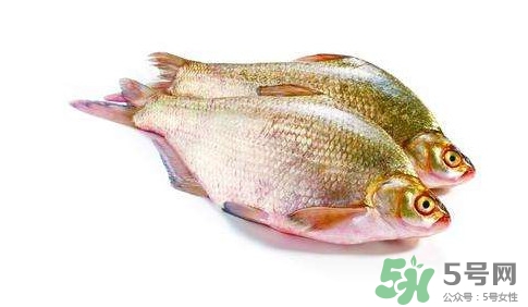 鳊魚(yú)怎么做好吃？鳊魚(yú)怎么燒好吃