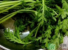 蓬花菜不能和什么一起吃?蓬花菜和什么食物相克? 蓬花菜不能和什么一起吃?蓬花菜和什么食物相克?