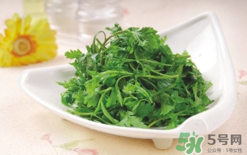 菊花腦就是菊花嗎？菊花腦怎么吃