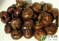 馬蹄孕婦能吃嗎？孕婦能不能吃馬蹄