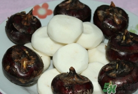 荸薺可以放冰箱嗎？荸薺可以冷凍嗎