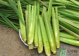 茭白能放冰箱嗎？茭白可以放冰箱多久