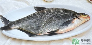 鳊魚(yú)怎么做好吃？鳊魚(yú)怎么燒好吃