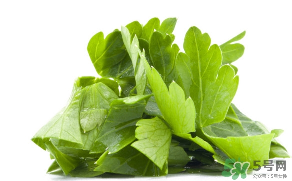 菊花腦有什么好處？菊花腦的功效與作用