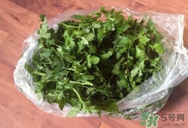 菊花腦怎么做好吃？菊花腦怎么做有營養(yǎng)