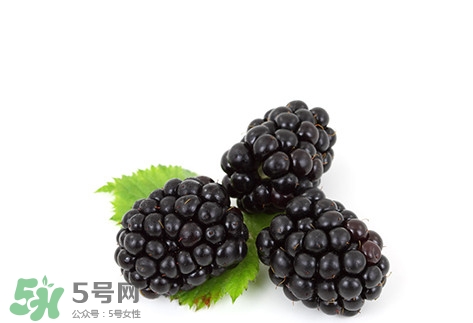 覆盆子的熱量高嗎？覆盆子可以減肥嗎？