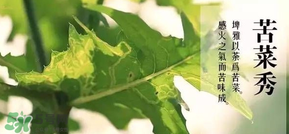 2017小滿是幾月幾日？小滿節(jié)氣養(yǎng)生