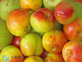 吃李子牙齒酸怎么辦？為什么吃多了李子牙會(huì)酸？