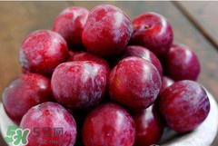 吃李子為什么會拉肚子？拉肚子可以吃李子嗎？